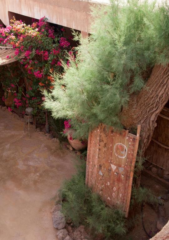 Auberge L'Oasis Foum Zguid Exterior photo